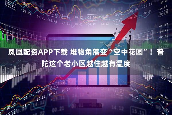 凤凰配资APP下载 堆物角落变“空中花园”！普陀这个老小区越住越有温度