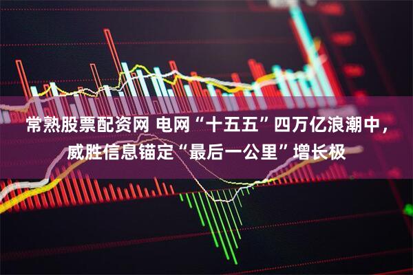 常熟股票配资网 电网“十五五”四万亿浪潮中，威胜信息锚定“最后一公里”增长极